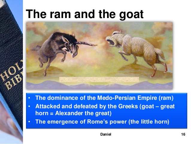 ram and goat